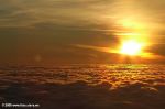 Filename=DSCF6704.JPG
Filesize=76KB
Dimensions=800x533
Date added=Apr 07, 2007 DSCF6704.JPG